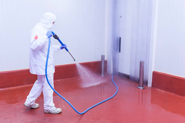Playground Equipment Cleaning in Kronenwetter, WI